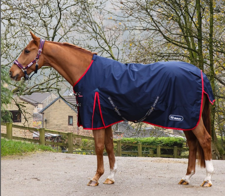 Whitaker Rastrick V2 0g Turnout Rug