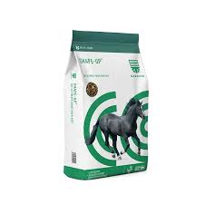 Saracen Shape Up Balancer 20kg