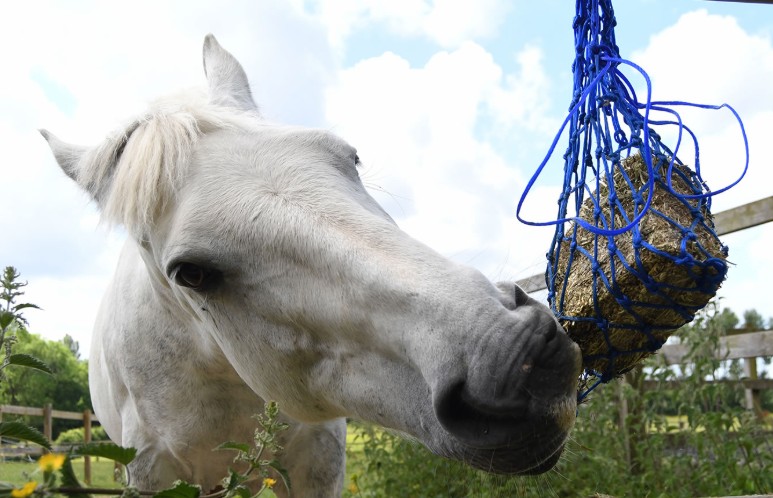 Equilibrium Products Munch Net