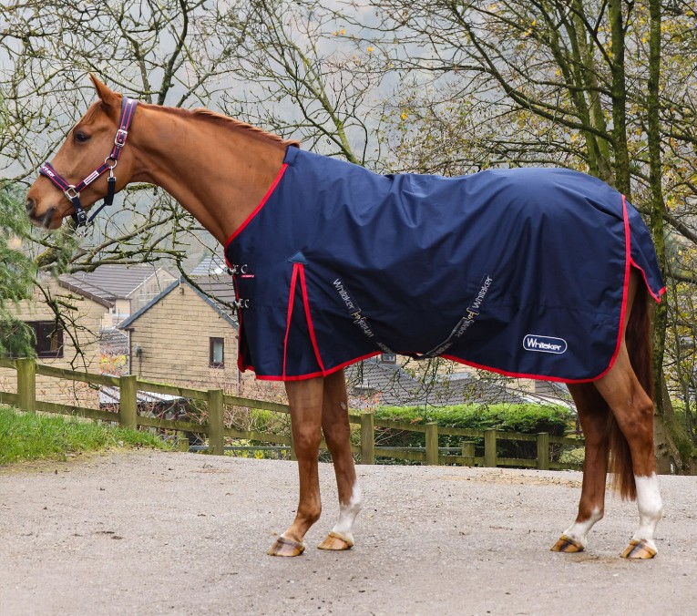 Whitaker Rastrick V2 100g Turnout Rug