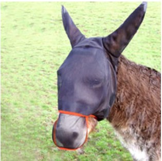 Equilibrium Field Relief Fly Mask Black/Orange Small Donkey with Ears & Nose