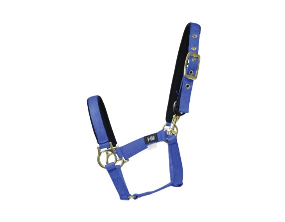 Hy Equestrian Foal Fieldsafe Head Collar