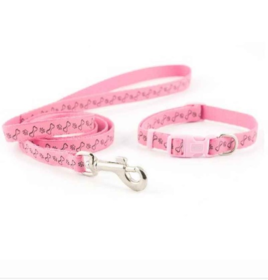 Ancol Puppy Collar & Lead