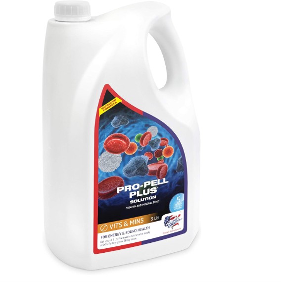 Equine America Pro Pell Plus 5L