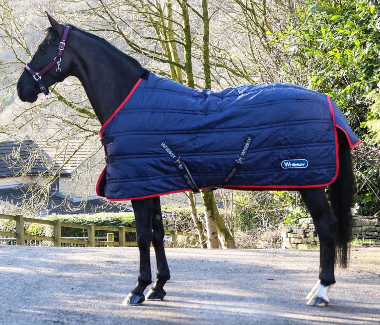 Whitaker Rastrick V2 100g Stable Rug
